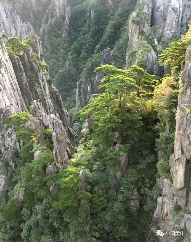 Ryse罗马之子
